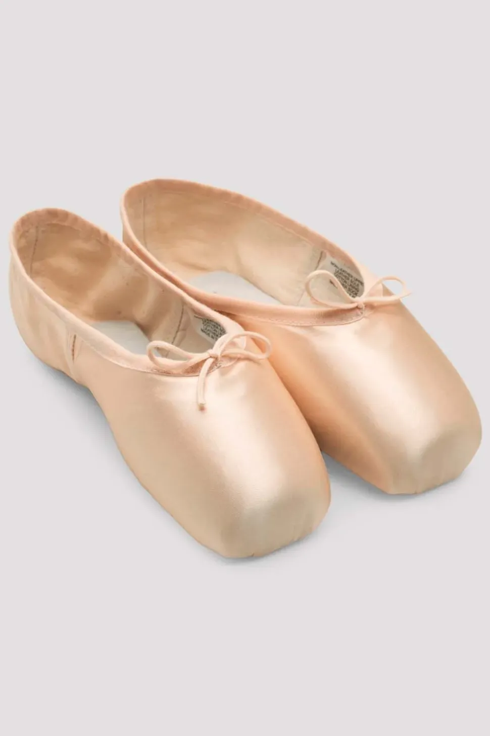 Aspiration Pointe Shoes